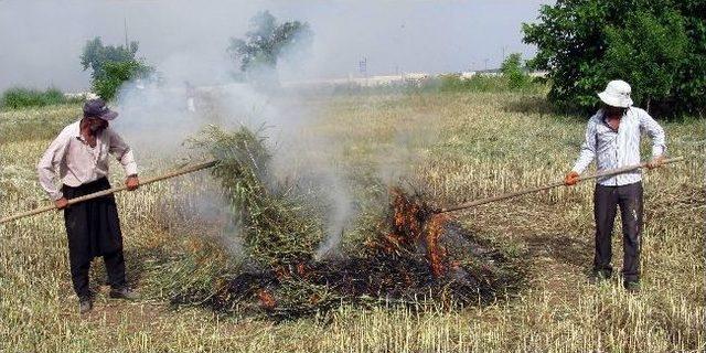 Araban Ovası&rsquo;nda Firik Sezonu Başladı 2