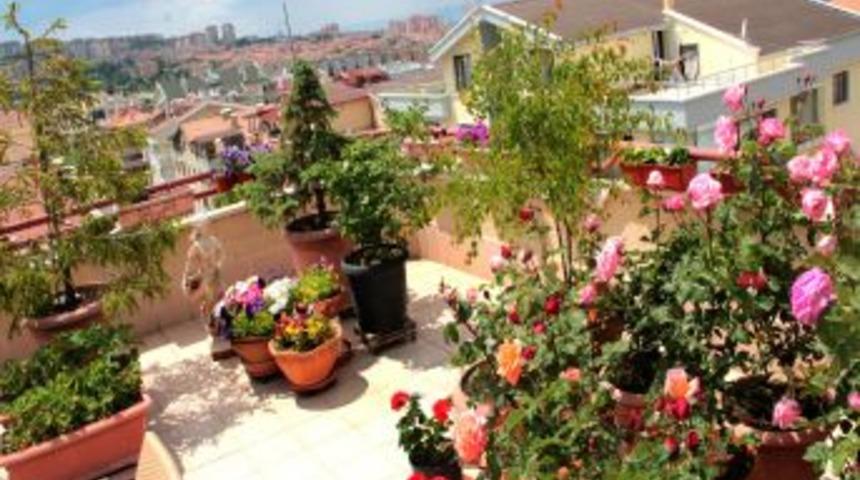 Bah&ccedil;e Balkon Yarışmasında Final Heyecanı Başlıyor