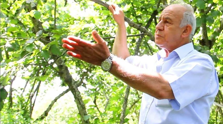 Fındığı Y&uuml;kseklerde Dolu, Al&ccedil;aklarda Fırtına Vurdu