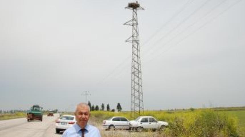 &Uuml;zerine Leyleklerin Yuva Yaptığı Direğin Taşınması, G&ouml;&ccedil; Sonrasına Bırakıldı