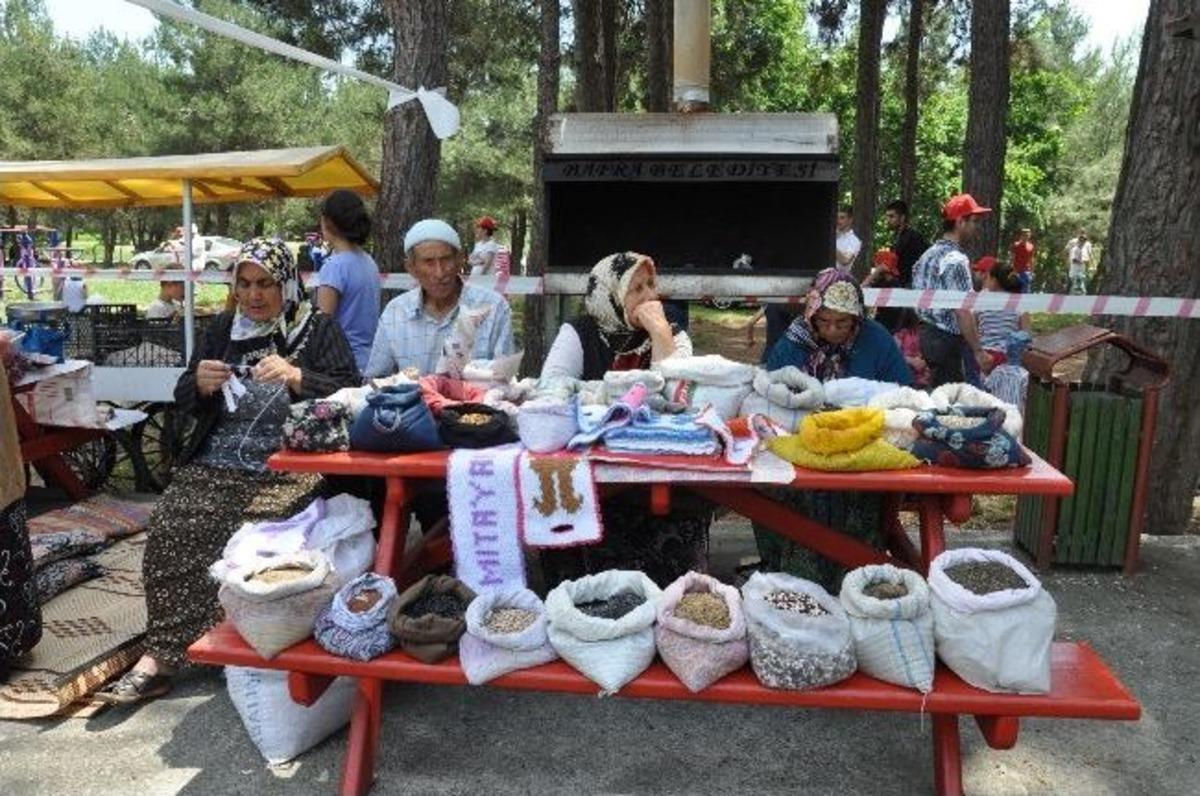 Bafra&rsquo;da "1. Ekolojik Tohum Yaşam Ve Tohum Takası Şenliği" Yapıldı