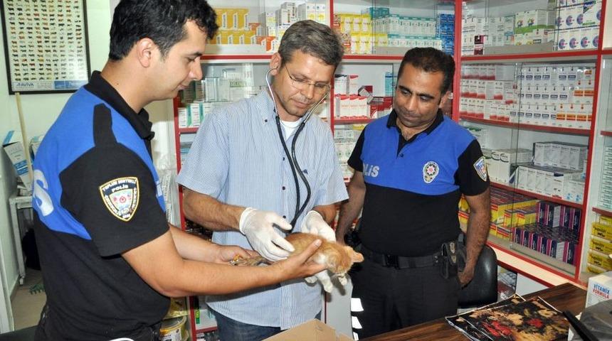 Yavru Kediye Polis Şefkati