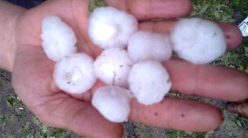 Zonguldak&rsquo;ta Ceviz Gibi Dolu Yağdı