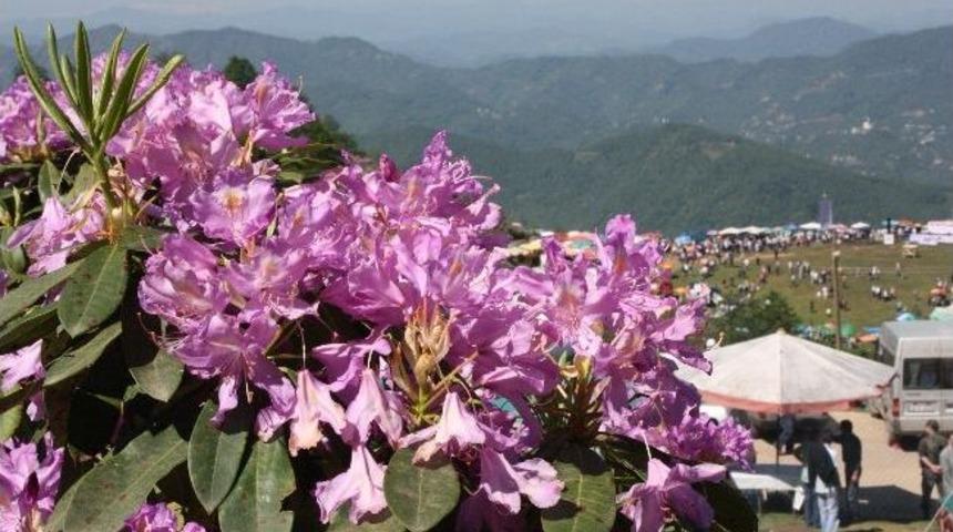 Doğu Karadeniz&rsquo;de Yayla Şenlikleri &ldquo;dizgine&rdquo; İle Başladı