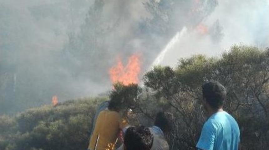 Ortaca'da Sezonun İlk Orman Yangını