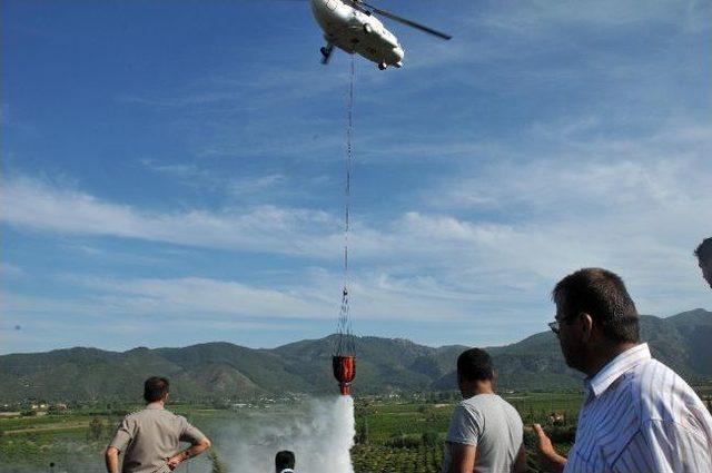 Ortaca da Sezonun İlk Orman Yangını 1