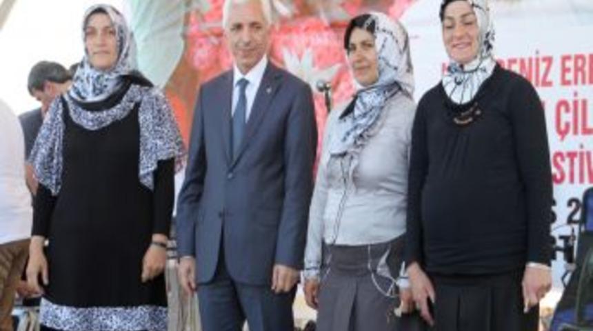 En G&uuml;zel Osmanlı &Ccedil;ilekleri Yarıştı