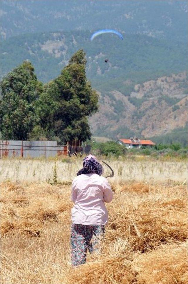 K&ouml;yceğiz de Yama&ccedil; Paraş&uuml;t&uuml; Festivali 1
