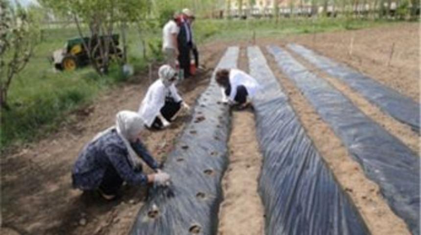 Kadın &Ccedil;ift&ccedil;ilere &Ccedil;ilek Bah&ccedil;esi
