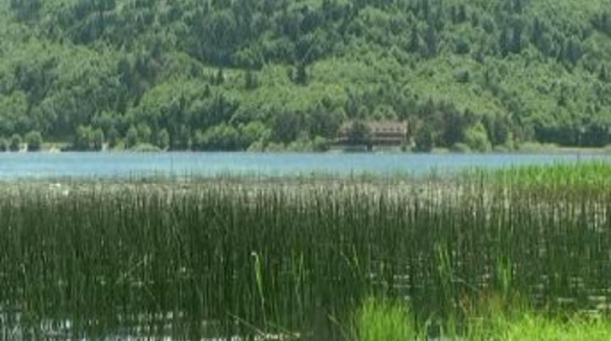 Yaz Geldi Abant Doldu