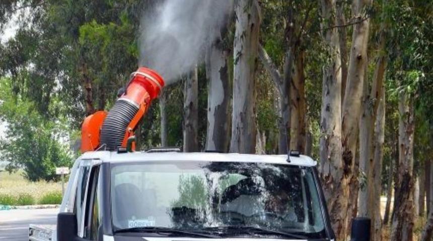 İzmir B&uuml;y&uuml;kşehir Belediyesi Sinekle M&uuml;cadeleye 11 Milyon Lira Ayırdı