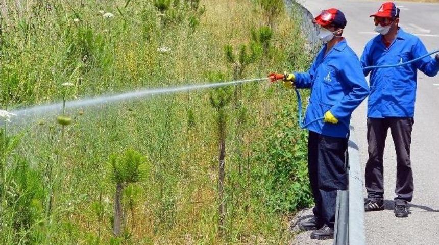 Sinekle M&uuml;cadeleye Teknolojik Destek