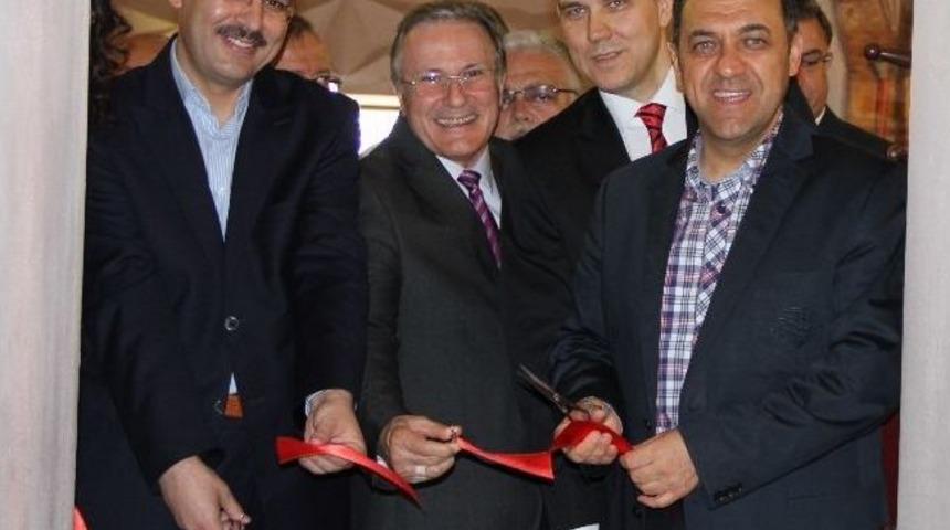 Kelebekler, &Ccedil;iniyle &Ouml;l&uuml;ms&uuml;zleşti