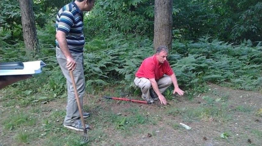 Tr&uuml;f Mantarı Potansiyeli Ve Eylem Planı Hazırlanıyor