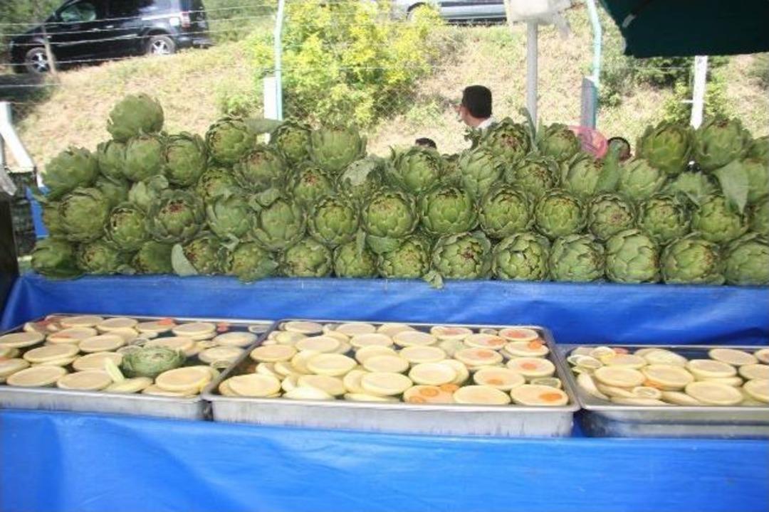 Hasanağa&rsquo;da Enginar Coşkusu