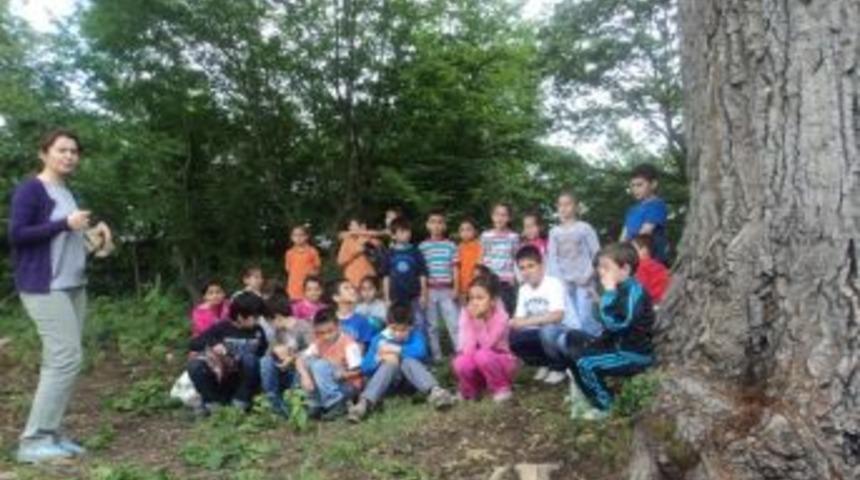 &Ouml;ğrenciler Asırlık Ağacın G&ouml;lgesinde Ders Yaptılar