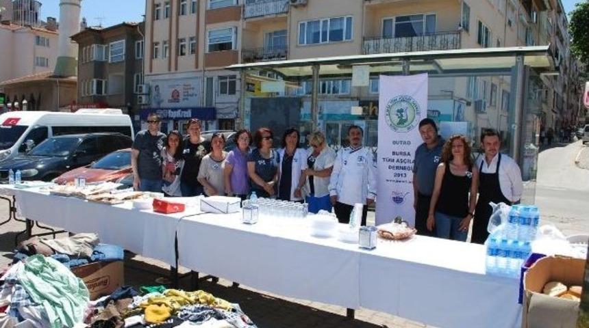 Mudanya&rsquo;da Evsiz Hayvanlar İ&ccedil;in Kermes