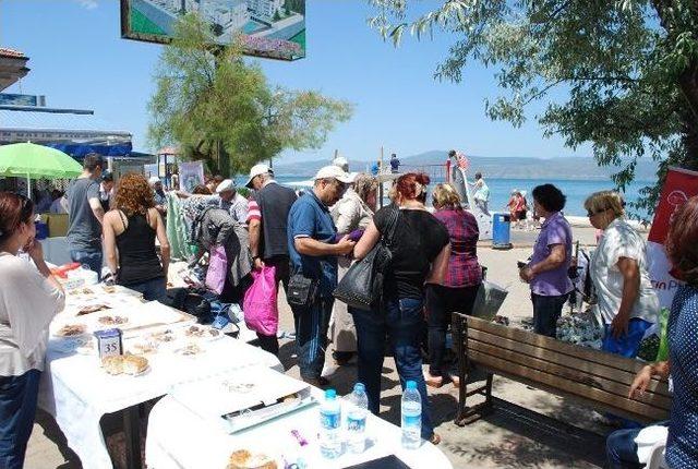 Mudanya’da Evsiz Hayvanlar İçin Kermes