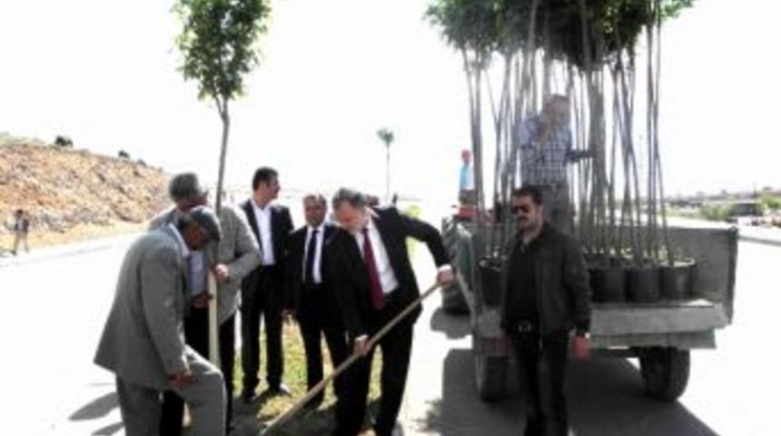 Erciş Belediyesi&rsquo;nden Fidan Dikimi
