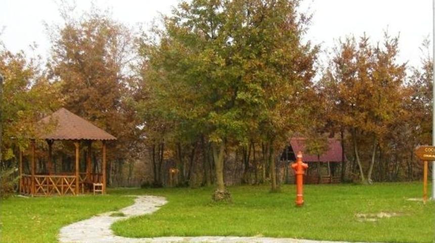 Sakarya&rsquo;yı Yaşayarak &Ouml;ğrenecekler