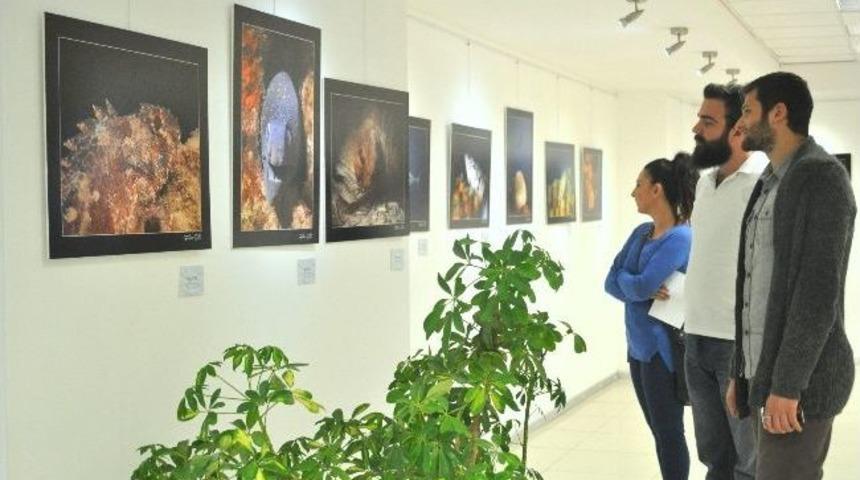 İz&uuml; Fotoğraf Buluşması