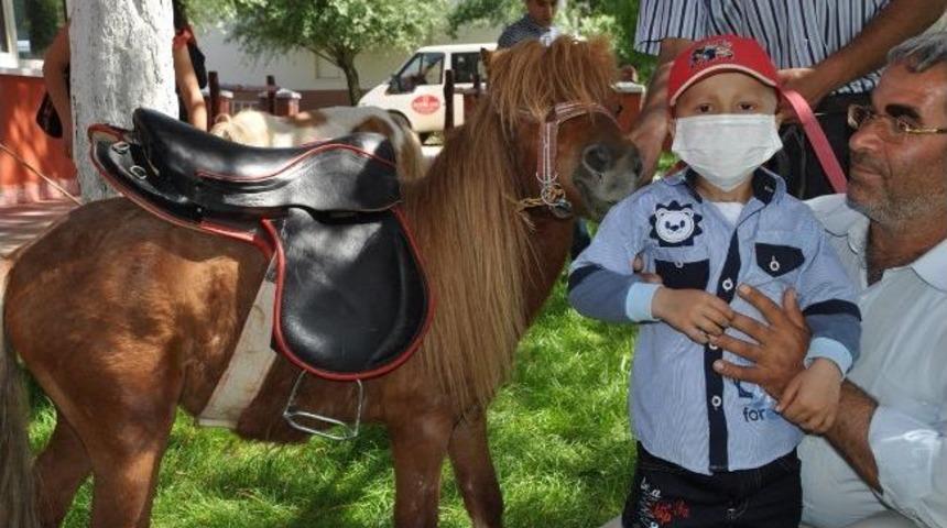 L&ouml;semili &Ccedil;ocuklar Piknik Yaparak, Eğlenceli Vakit Ge&ccedil;irdi