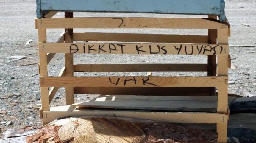 Sanayi Esnafından Aksaka Kuşuna Şefkat Eli