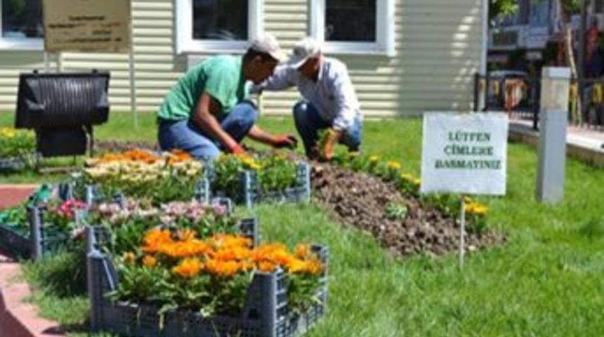 Belediyeden &Ccedil;i&ccedil;eklendirme &Ccedil;alışmaları