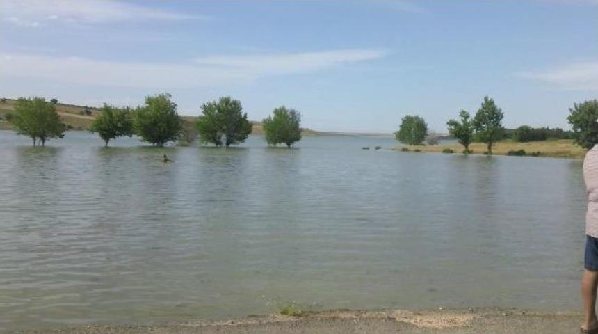 &Ouml;l&uuml;me Meydan Okuyorlar