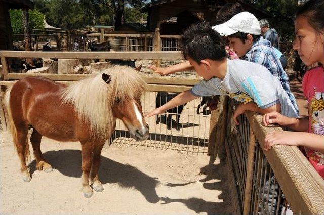 Hayvanat Bah&ccedil;esi&rsquo;nde &ldquo;bahar Şenliği&rdquo; Coşkusu 1