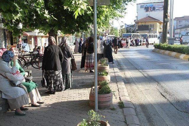 Akyazı Belediyesinden Geleneksel Akşemseddin Hz. Anma Günü Etkinlikleri