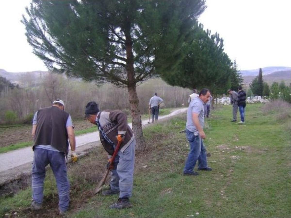 K&uuml;tahya'da Ağa&ccedil;landırılmadık Mezarlık Kalmayacak
