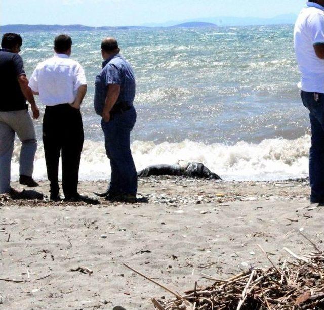 Zeytinli Sahilinde Ceset Bulundu 2