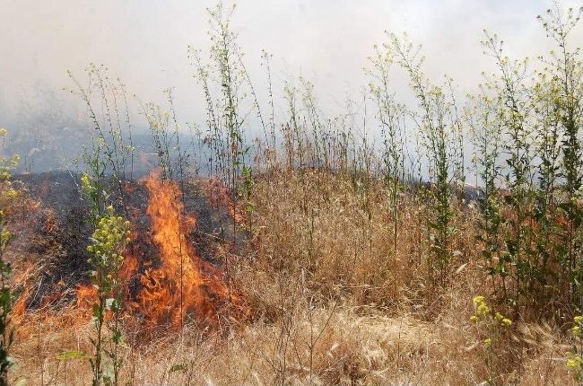 Eskişehir&rsquo;de Ot Yangını