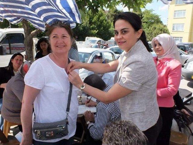 Ak Parti de Vekiller Asillere Rozet Taktı 2