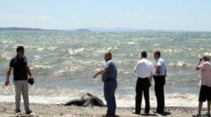Altınkum Sahilinde Başı Ve Elleri Olmayan Ceset Bulundu
