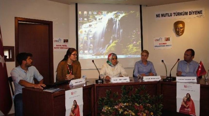 L&ouml;sev, Kastamonu&rsquo;da Panel D&uuml;zenledi