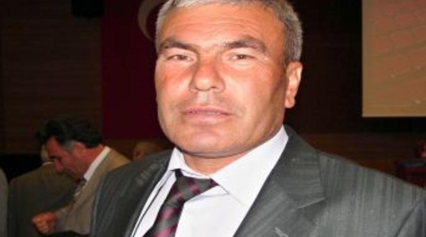 Av Yasaklarıyla Korunan Domuzlar, Tarlada Mahsul Bırakmıyor