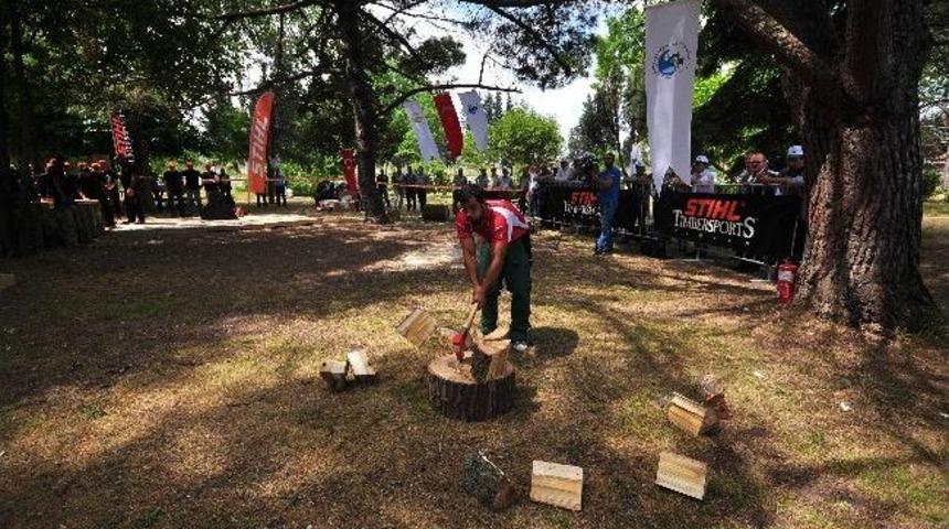 Ormancıların Lig Heyecanı