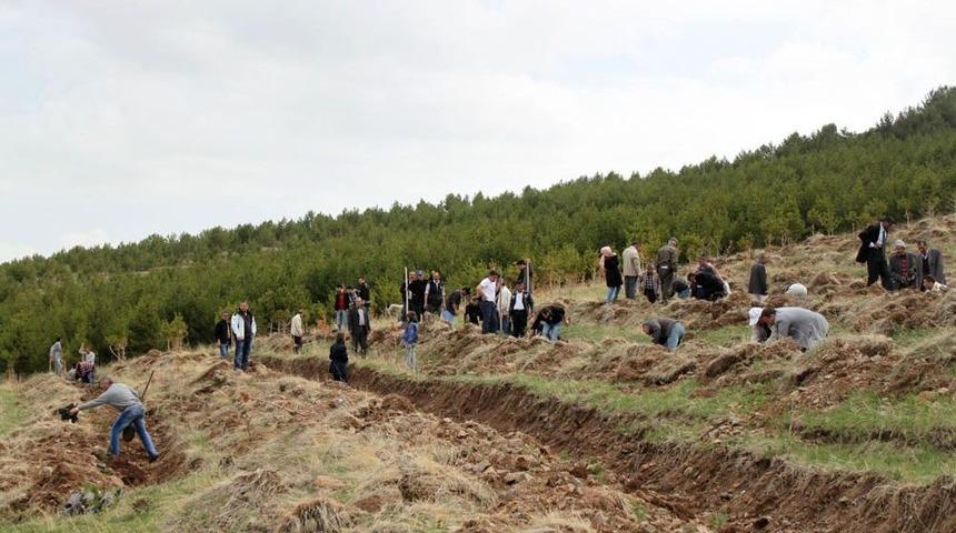 Erzurum BEAH 500 Fidanı Toprakla Buluşturdu