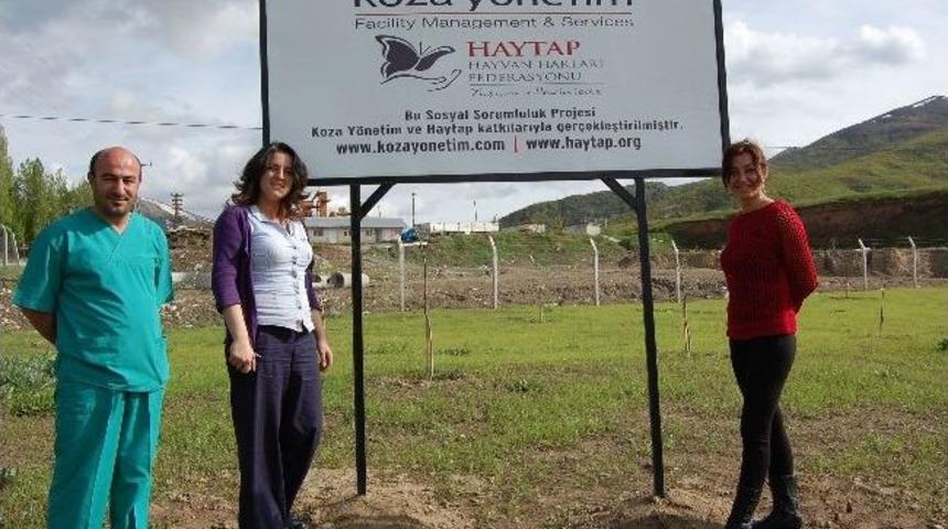 Sokak Hayvanları Yararına Meyve Bah&ccedil;esi Oluşturuldu
