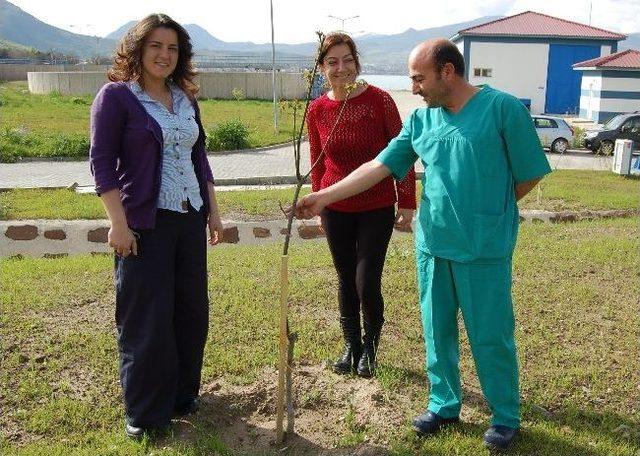 Sokak Hayvanları Yararına Meyve Bahçesi Oluşturuldu