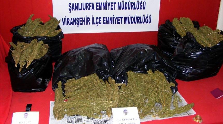Viranşehir Polisi 46 Kilogram Esrar Ele Ge&ccedil;irdi