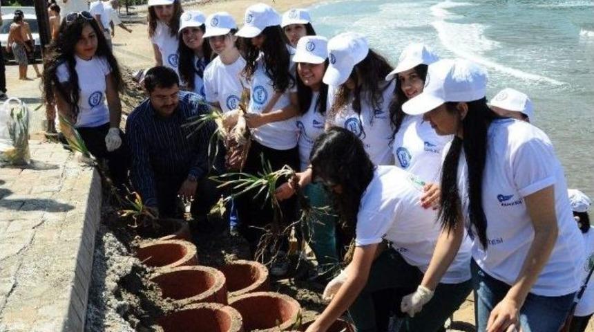 B&uuml; &Ouml;ğrencileri Kum Zambaklarına Sahip &Ccedil;ıktı