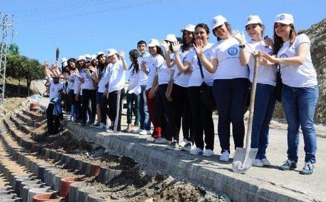 Bü Öğrencileri Kum Zambaklarına Sahip Çıktı