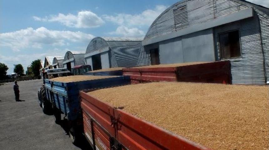 Hububat Alımlarında Tam Randevulu Sistem