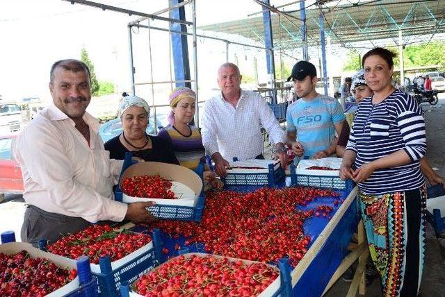 Kiraz Tat Vermiyor