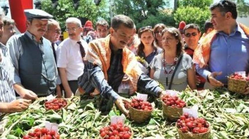 Belenbaşı Kiraz Festivaline Hazırlanıyor