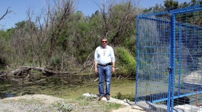 Yapay G&ouml;letler Sayesinde Tarım Alanları Sulanacak