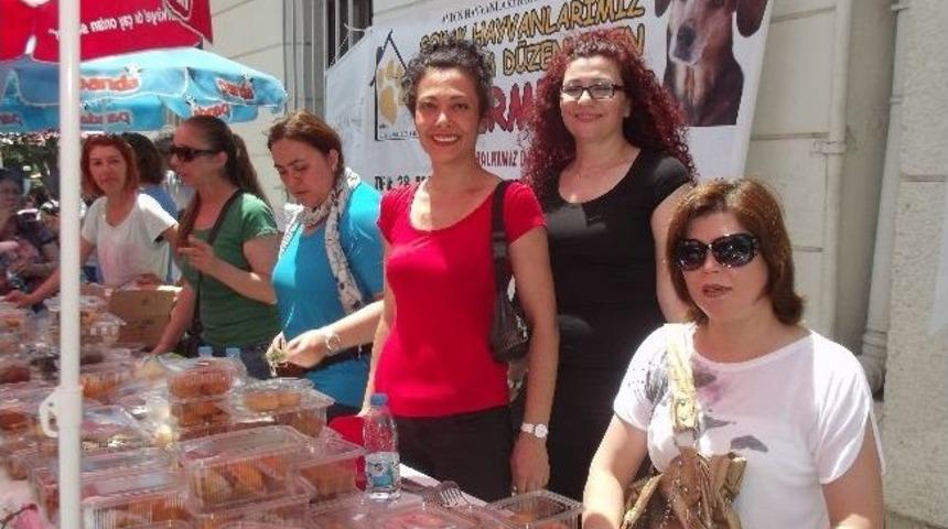 Hayvanları Koruma Derneği&rsquo;nden &Ouml;rnek Kermes